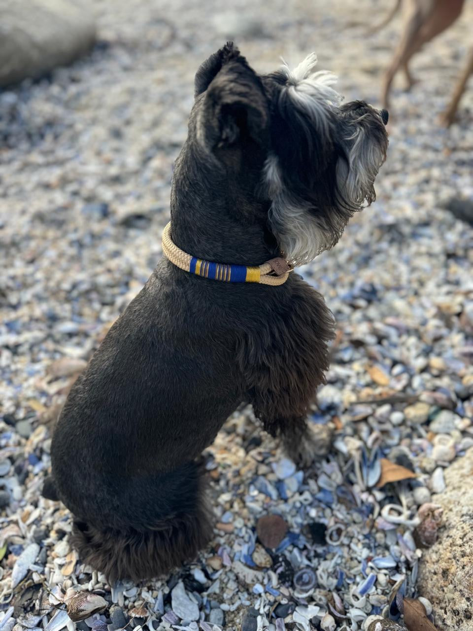 Gold Shimmer Collar