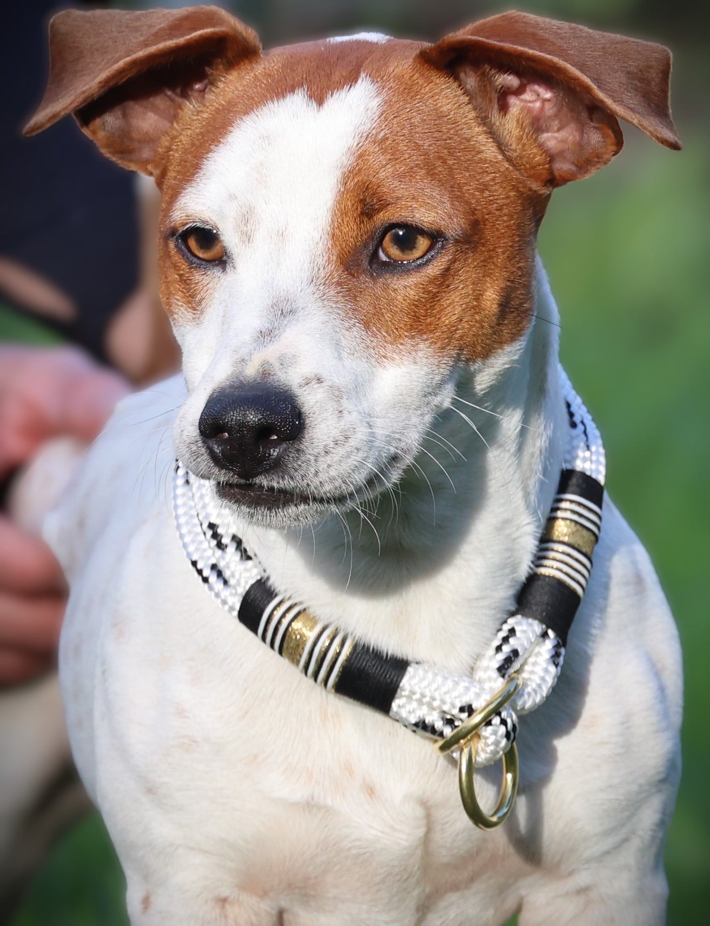 Golden Threaded Ebony and Ivory Collar