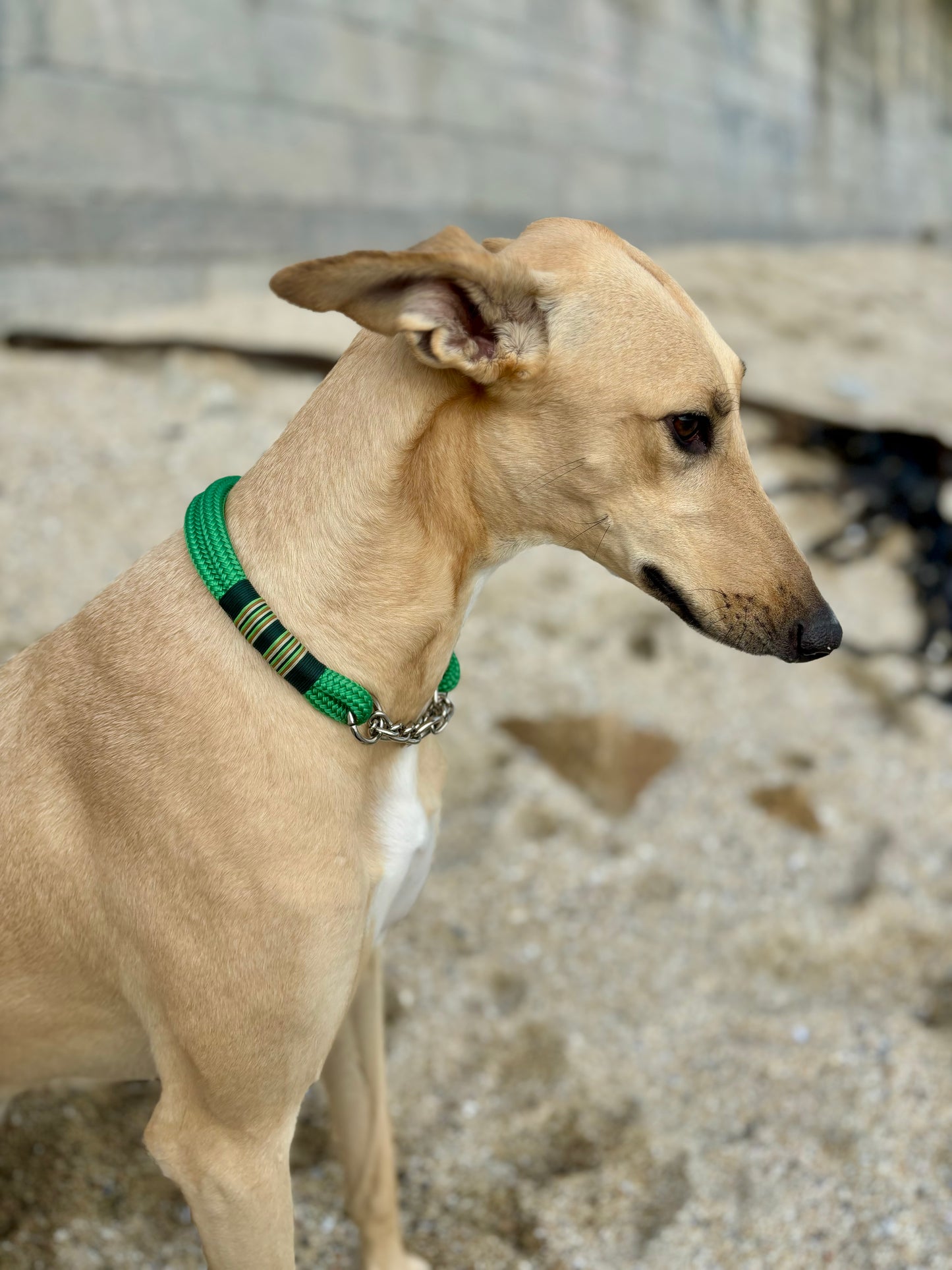 Emerald Grace Leash