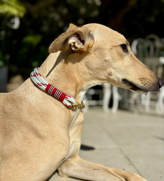 Crimson Twist Leash