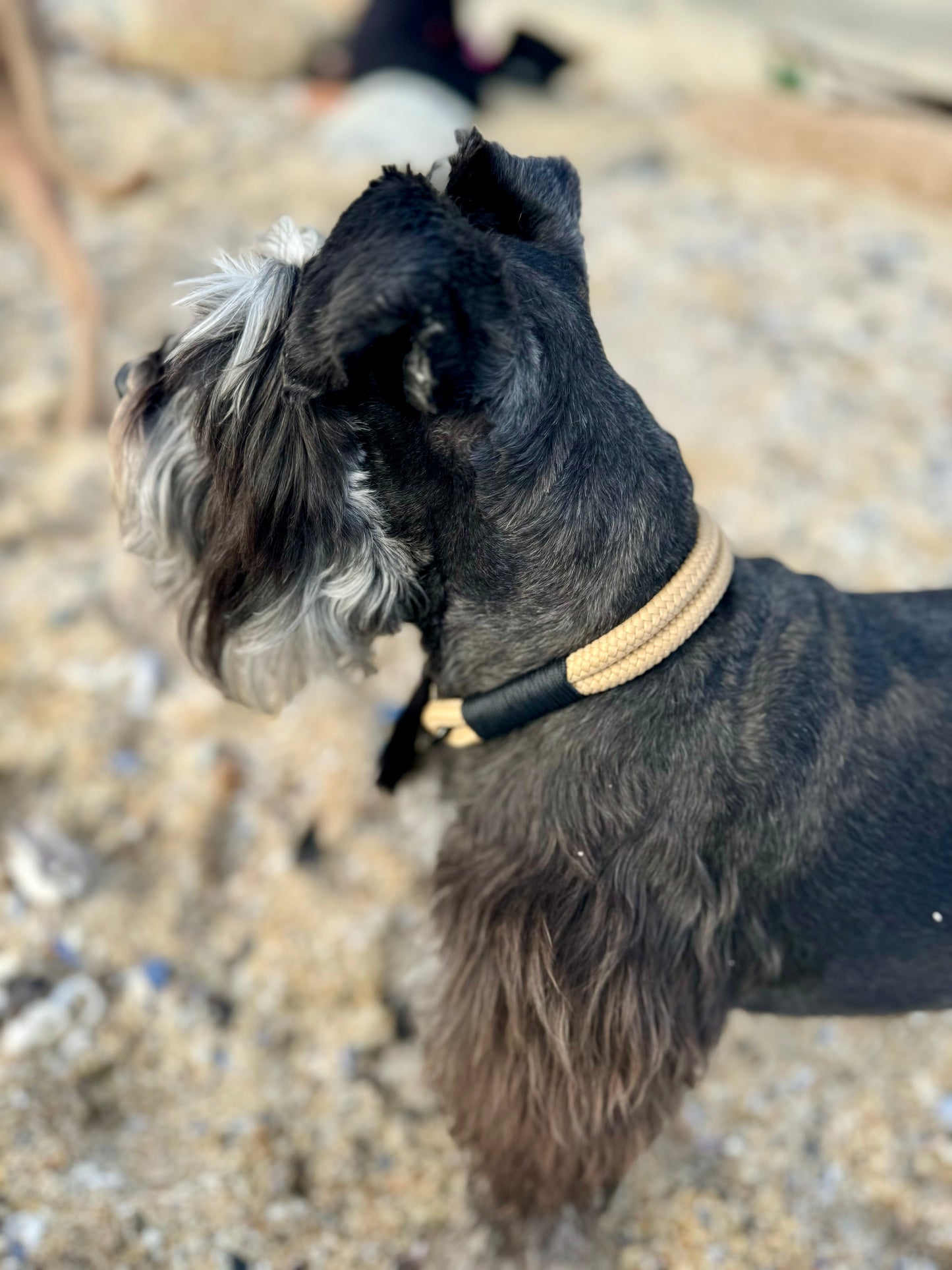 Moon Shadow Collar