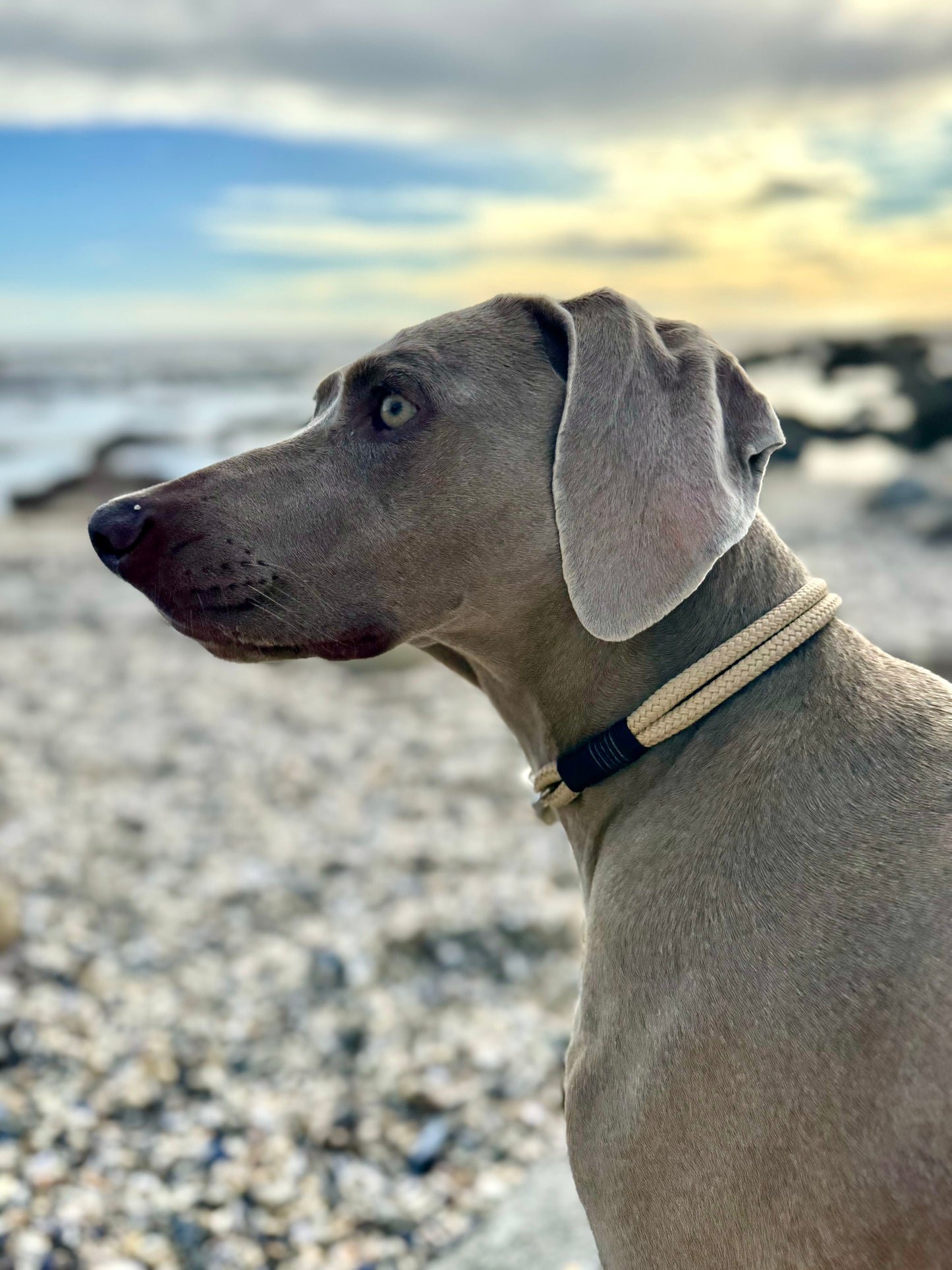 Moon Shadow Collar