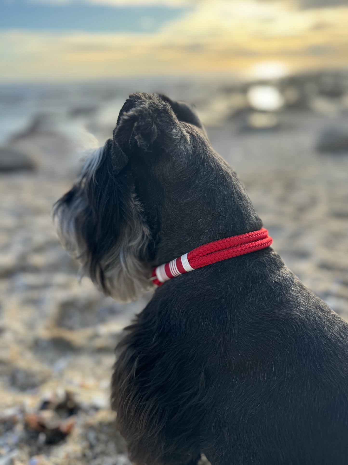 Red Candy Swirl Collar
