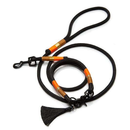 Autumn Hues Leash