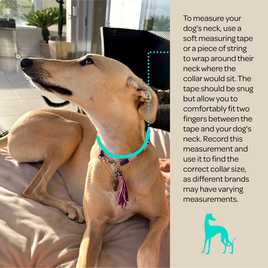 Polar Sky Flecked Collar